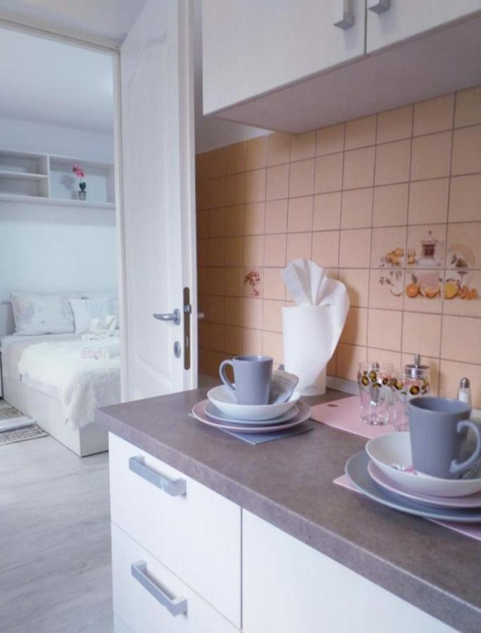 Epic Apartment Temešvár Exteriér fotografie